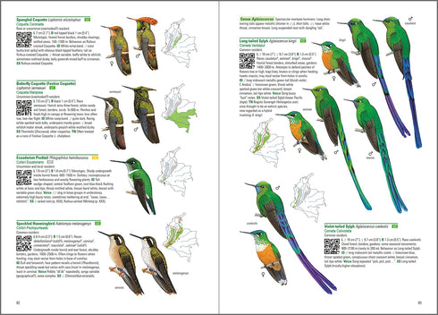 Birds of Colombia -  Steven L. Hilty 2021 Pehmeäkantinen